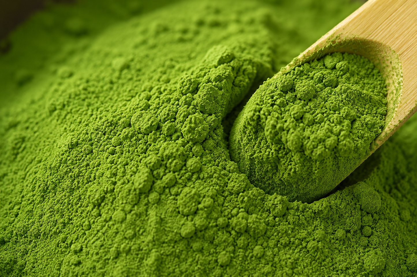 Enso Matcha Grado Ceremonial de Aichi, Japón 50G